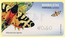 葡萄牙的蝴蝶与飞蛾