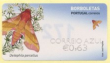葡萄牙的蝴蝶与飞蛾